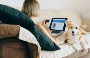 چرا پت شاپ ‌ها به طراحی سایت نیاز دارند؟